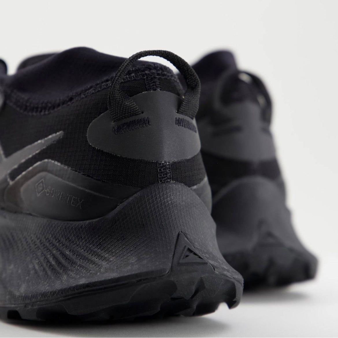 Nike Pegasus Trail 3 GORE-TEX